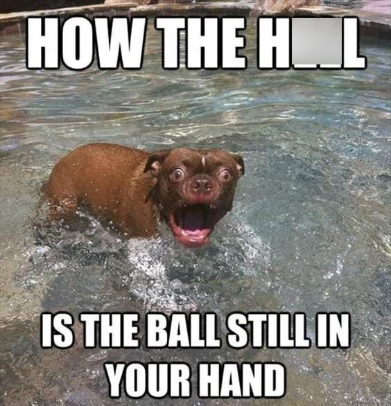 HOW THE HOL IS THE BALL STILL IN YOUR HAND