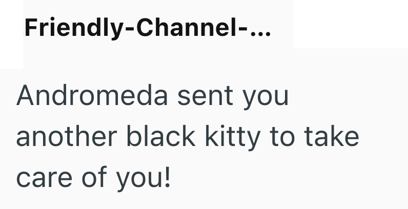 Friendly-Channel-... Andromeda sent you another black kitty to take care of you!