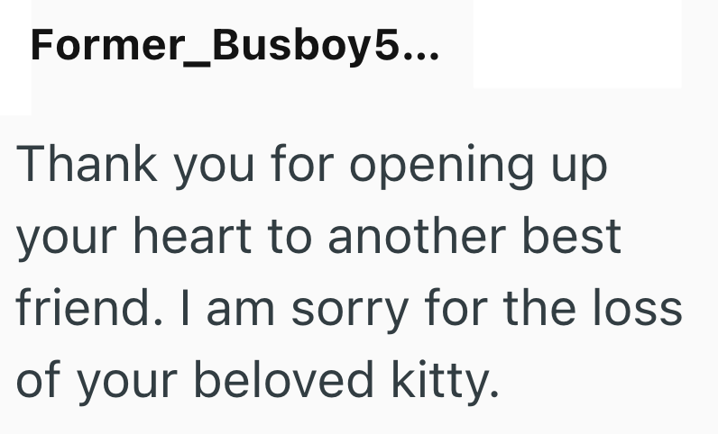 Former_Busboy5... Thank you for opening up your heart to another best friend. I am sorry for the loss of your beloved kitty.