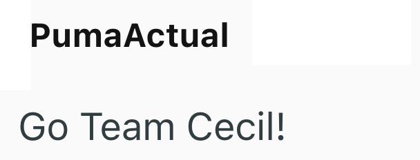 Puma Actual Go Team Cecil!