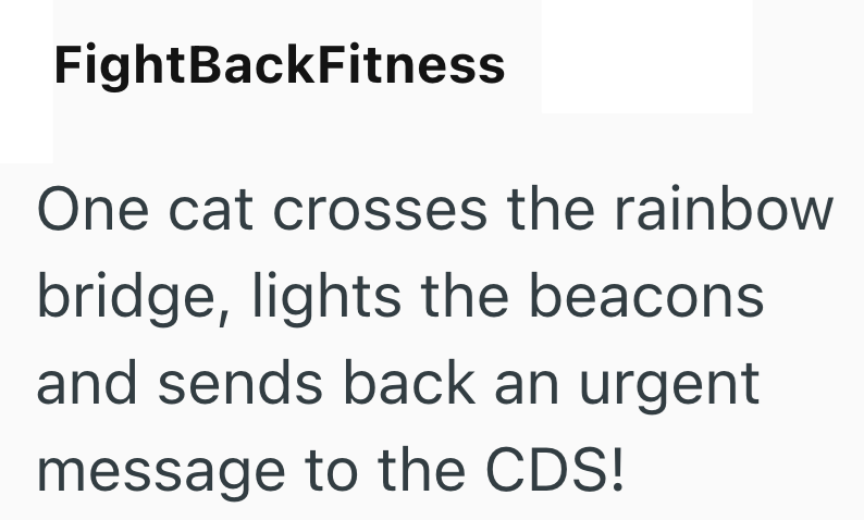 FightBackFitness One cat crosses the rainbow bridge, lights the beacons and sends back an urgent message to the CDS!