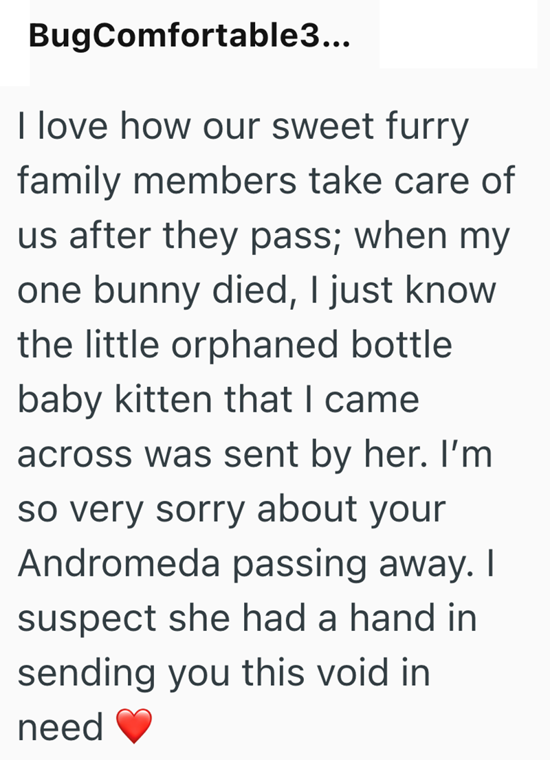BugComfortable3... I love how our sweet furry family members take care of us after they pass; when my one bunny died, I just know the little orphaned bottle baby kitten that I came across was sent by her. I'm so very sorry about your Andromeda passing away. I suspect she had a hand in sending you this void in need