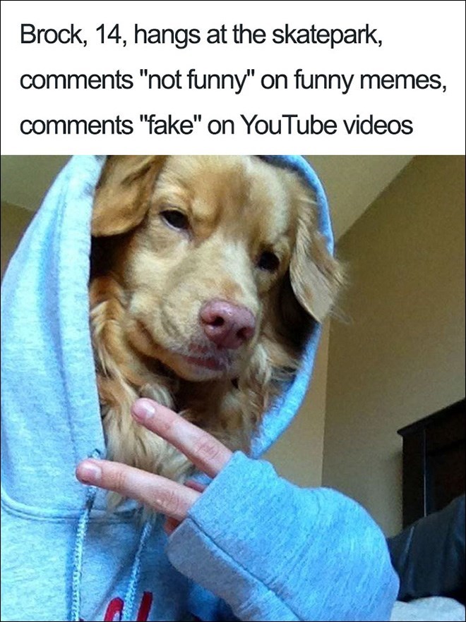 Brock, 14, hangs at the skatepark, comments "not funny" on funny memes, comments "fake" on YouTube videos