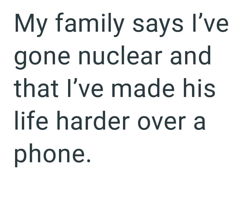My family says I've gone nuclear and that I've made his life harder over a phone.