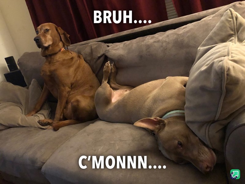 BRUH.... C'MONNN....