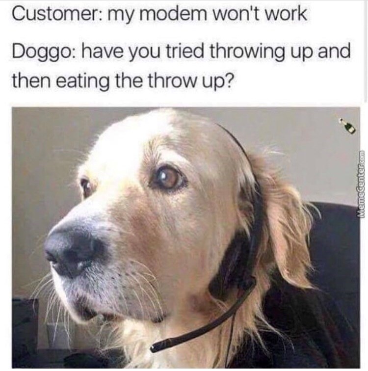 Customer: my modem won't work Doggo: have you tried throwing up and then eating the throw up? MemeCenter.com