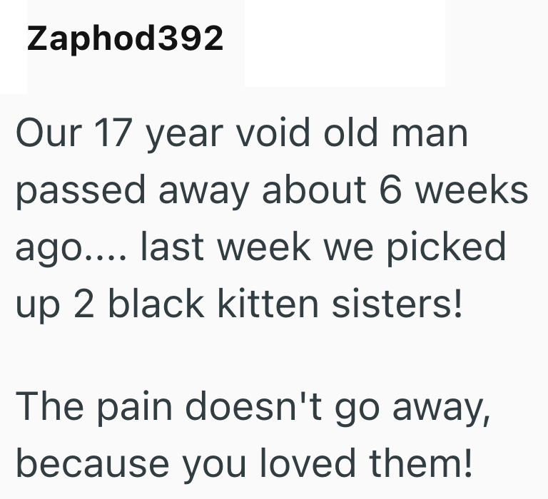 Zaphod392 Our 17 year void old man passed away about 6 weeks. ago.... last week we picked up 2 black kitten sisters! The pain doesn't go away, because you loved them!