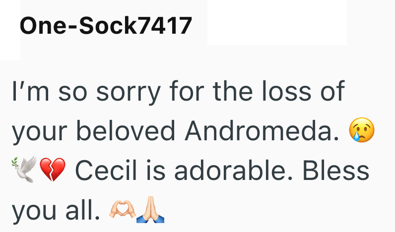 One-Sock7417 I'm so sorry for the loss of your beloved Andromeda. Cecil is adorable. Bless you all.