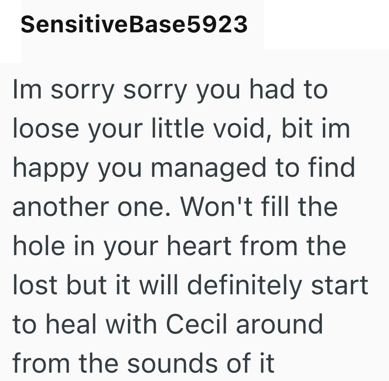 SensitiveBase5923 Im sorry sorry you had to loose your little void, bit im happy you managed to find another one. Won't fill the hole in your heart from the lost but it will definitely start to heal with Cecil around from the sounds of it