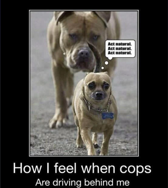 Act natural. Act natural. Act natural. How I feel when cops Are driving behind me