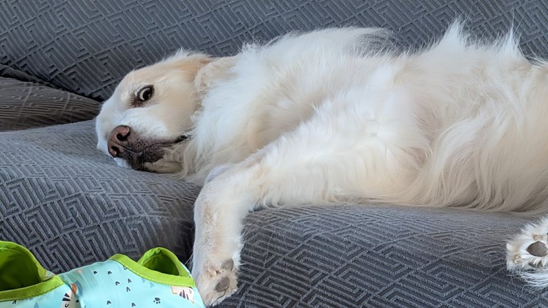 Cheezburger Image 10611640320