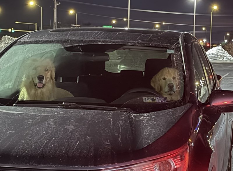 Cheezburger Image 10611641344