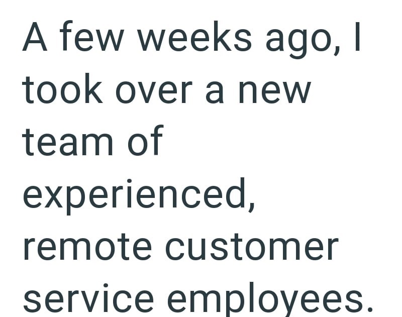 A few weeks ago, I took over a new team of experienced, remote customer service employees.