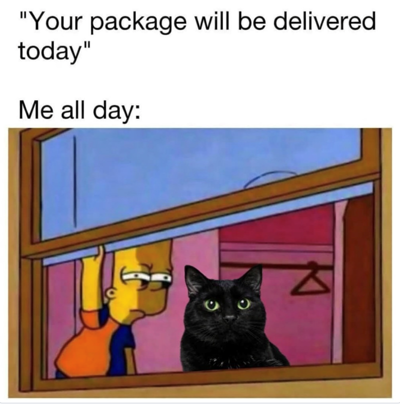 "Your package will be delivered today" Me all day: