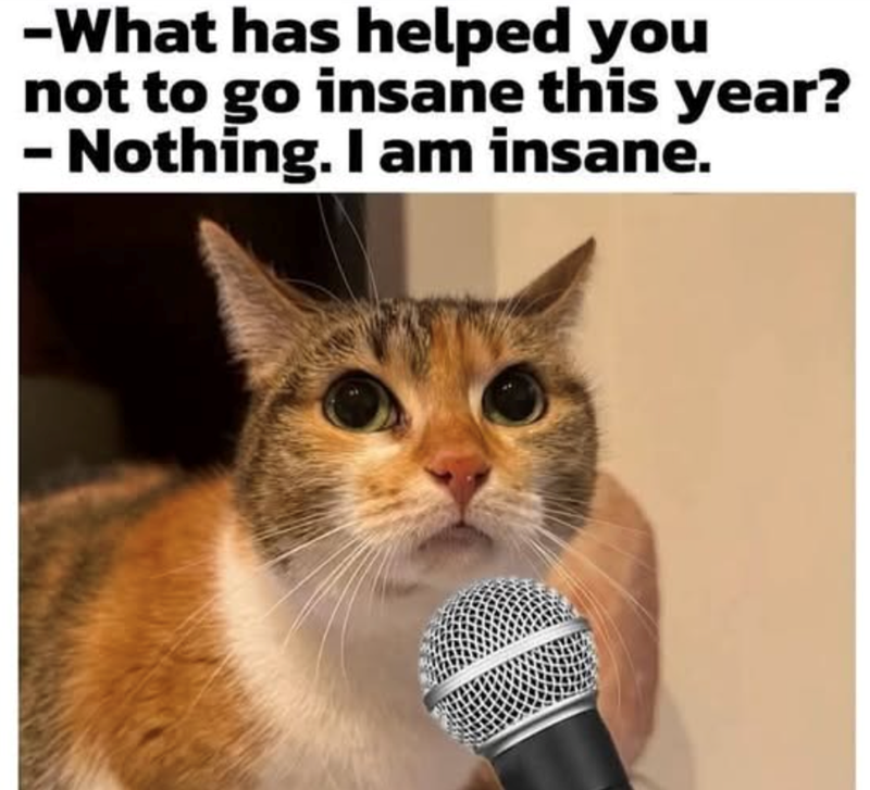 -What has helped you not to go insane this year? Nothing. I am insane.