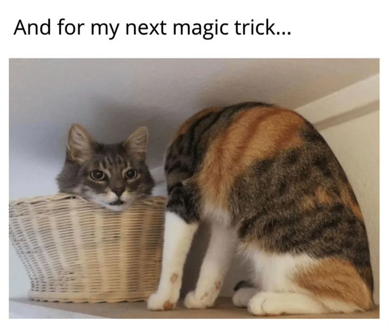 And for my next magic trick...