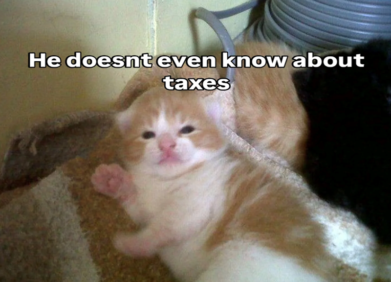 He doesnt even know about taxes