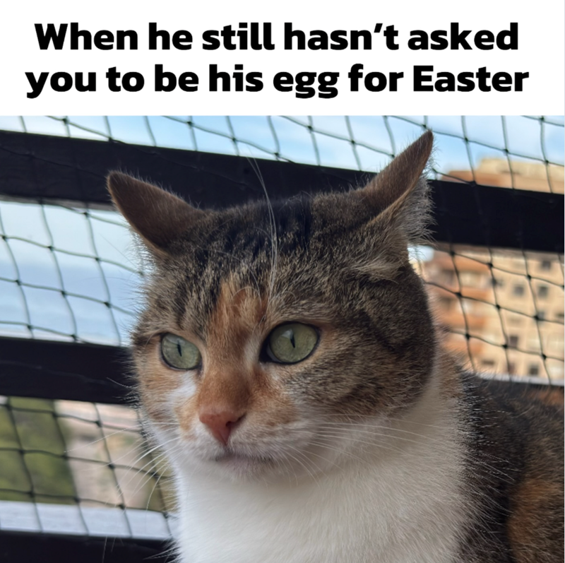 When he still hasn't asked you to be his egg for Easter