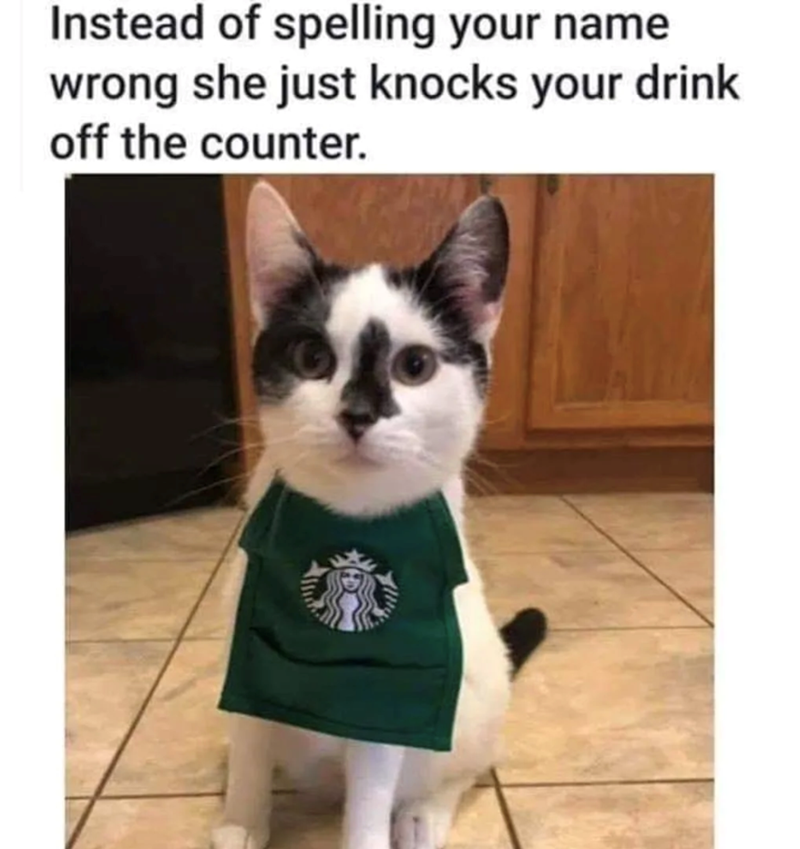 Instead of spelling your name wrong she just knocks your drink off the counter.