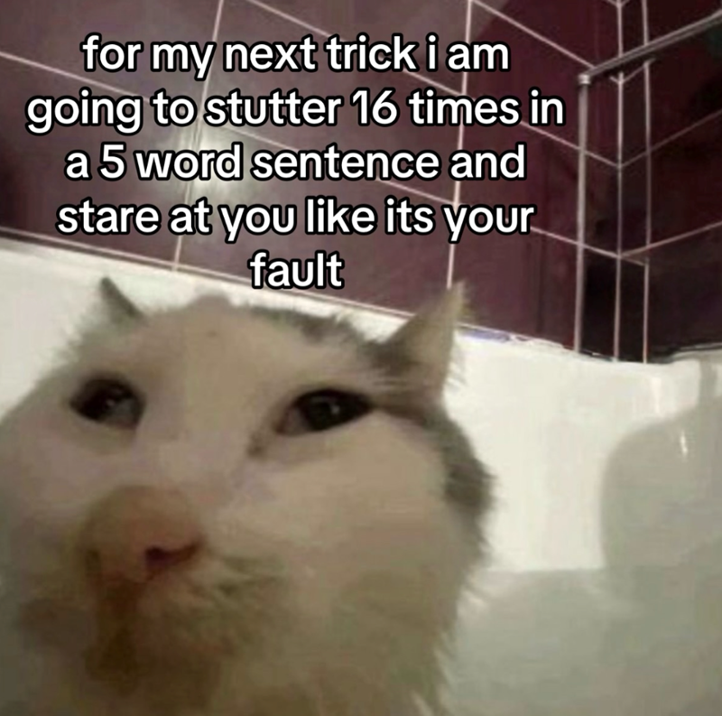 for my next trick i am going to stutter 16 times in a 5 word sentence and stare at you like its your fault