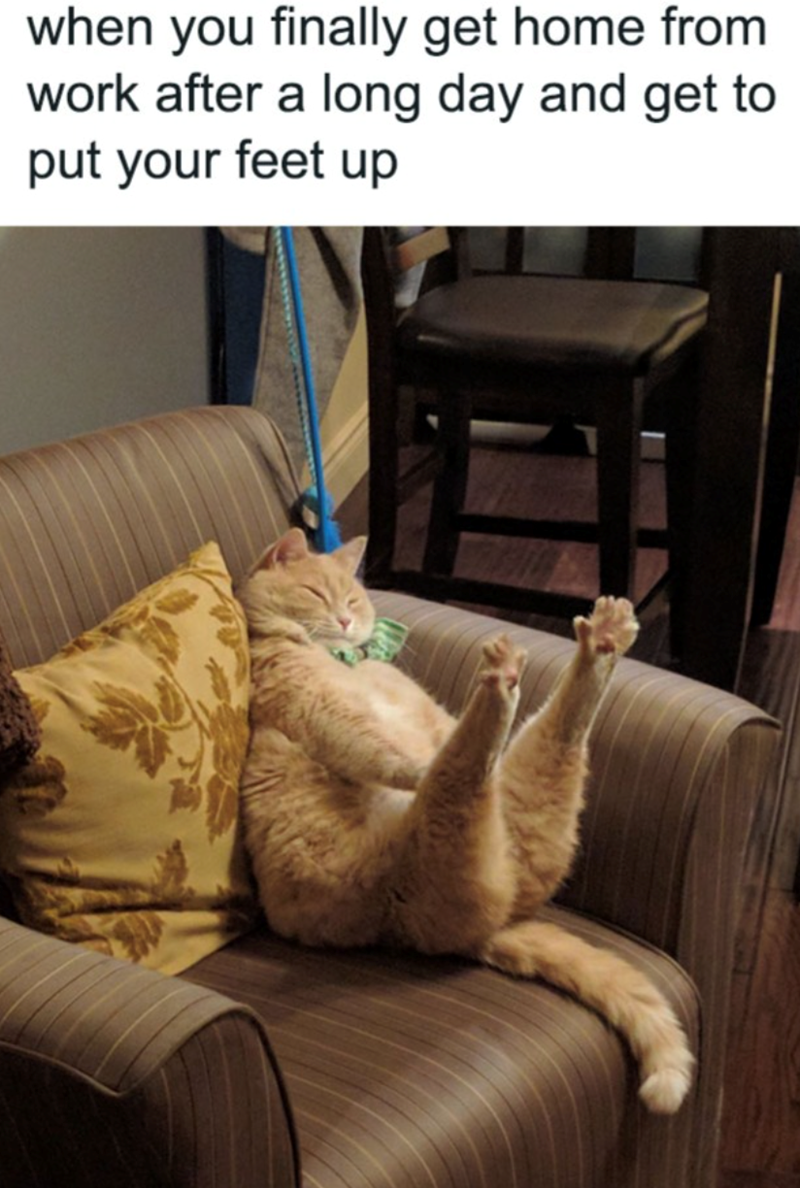 when you finally get home from work after a long day and get to put your feet up