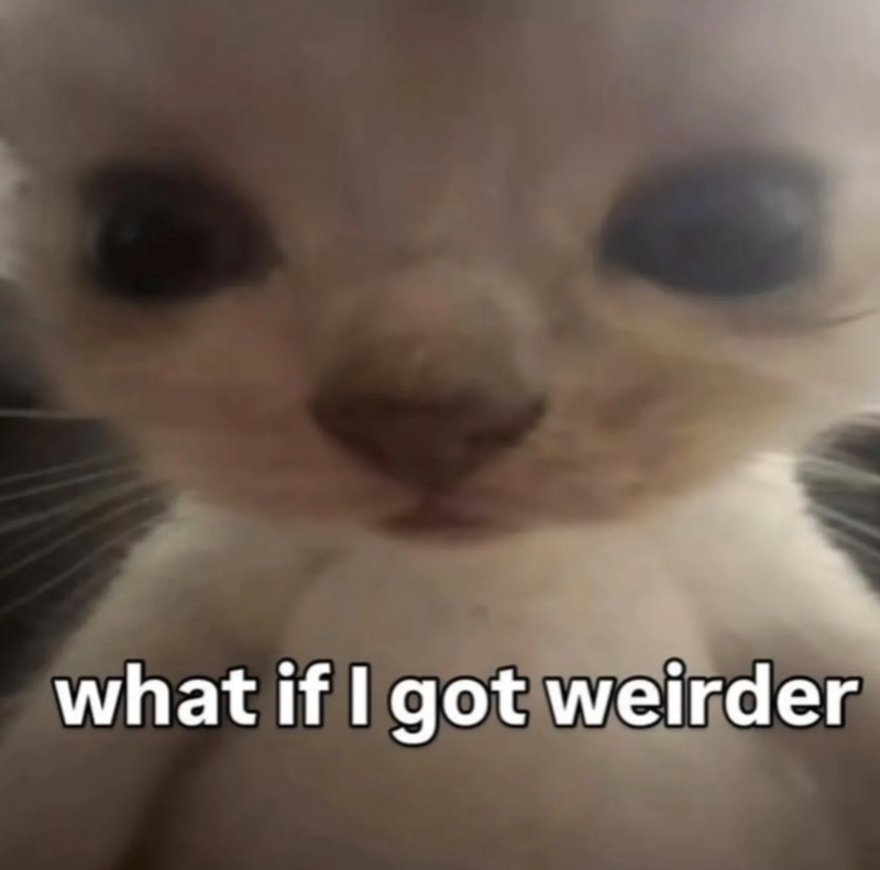what if I got weirder