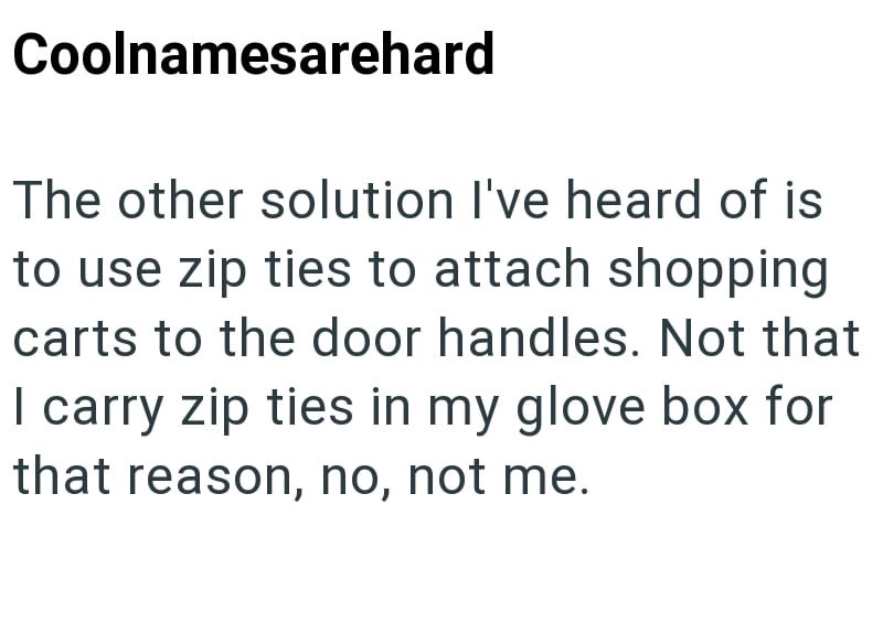 Coolnamesarehard The other solution I've heard of is to use zip ties to attach shopping carts to the door handles. Not that I carry zip ties in my glove box for that reason, no, not me.