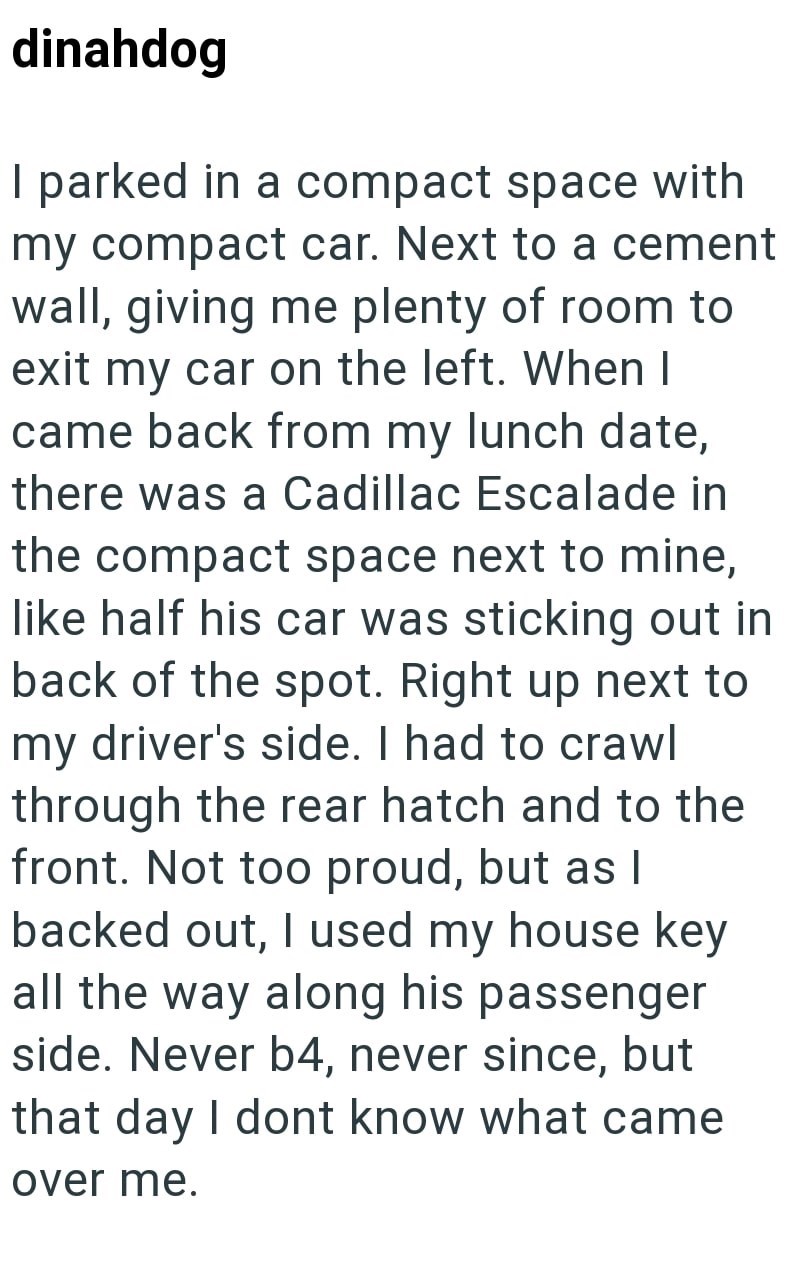 dinahdog I parked in a compact space with my compact car. Next to a cement wall, giving me plenty of room to exit my car on the left. When I came back from my lunch date, there was a Cadillac Escalade in the compact space next to mine, like half his car was sticking out in back of the spot. Right up next to my driver's side. I had to crawl through the rear hatch and to the front. Not too proud, but as | backed out, I used my house key all the way along his passenger side. Never b4, never since,