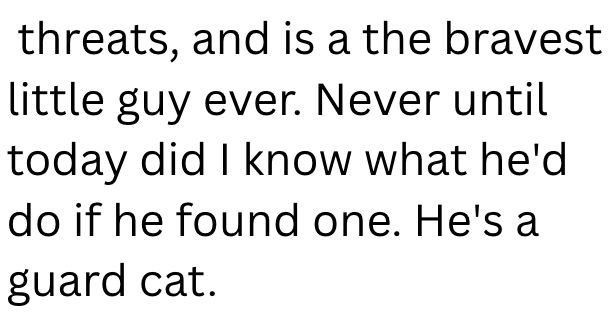 threats, and is a the bravest little guy ever. Never until today did I know what he'd do if he found one. He's a guard cat.