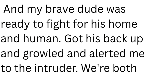 And my brave dude was ready to fight for his home and human. Got his back up and growled and alerted me to the intruder. We're both