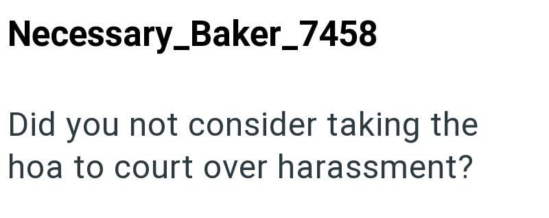 Necessary_Baker_7458 Did you not consider taking the hoa to court over harassment?