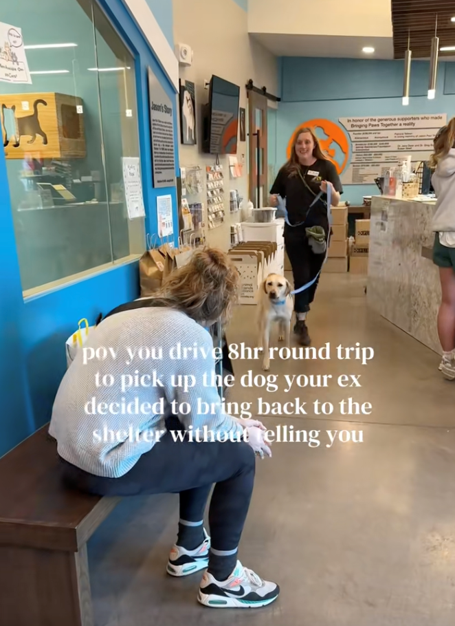 Woman drives 8 hours to pick up the dog her ex secretly returned to the shelter, sparks heartwarming emotional reunion: 'Because that's my little baby boy!'