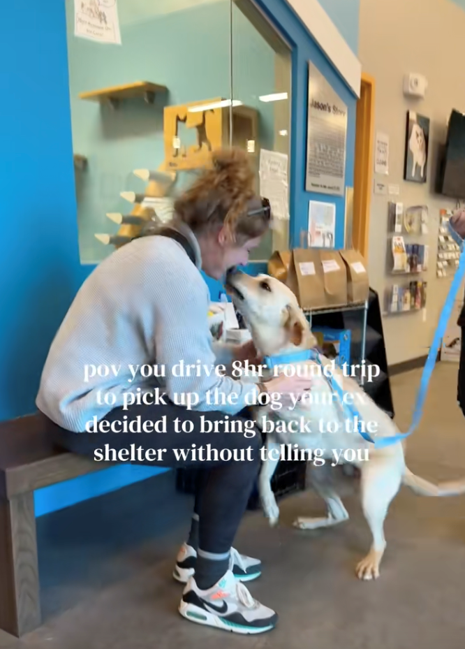Woman drives 8 hours to pick up the dog her ex secretly returned to the shelter, sparks heartwarming emotional reunion: 'Because that's my little baby boy!'