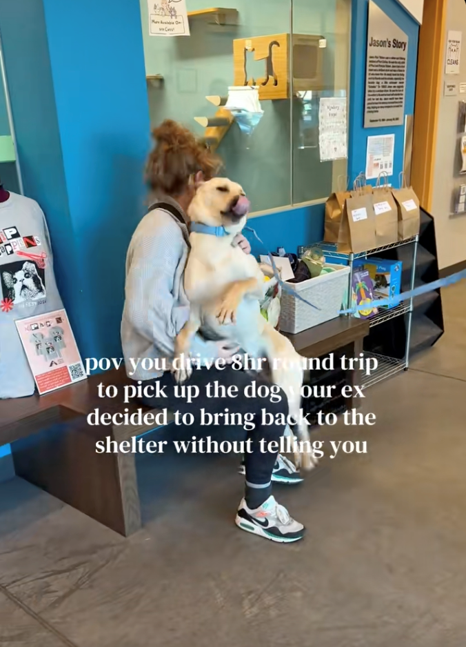 Woman drives 8 hours to pick up the dog her ex secretly returned to the shelter, sparks heartwarming emotional reunion: 'Because that's my little baby boy!'