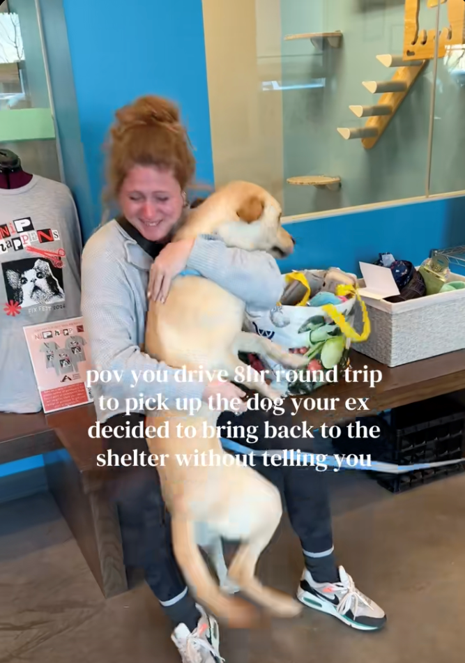 Woman drives 8 hours to pick up the dog her ex secretly returned to the shelter, sparks heartwarming emotional reunion: 'Because that's my little baby boy!'