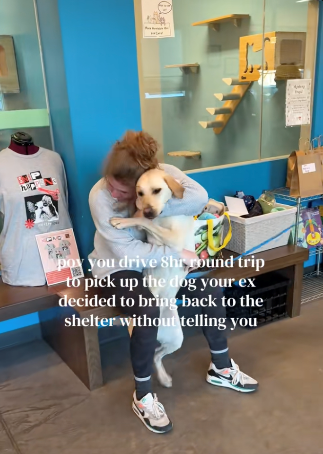 happla EN FEST 1034 PMC Mare Ausible On poy you drive 8hr round trip to pick up the dog your ex decided to bring back to the shelter without telling you Mystery typWoman drives 8 hours to pick up the dog her ex secretly returned to the shelter, sparks heartwarming emotional reunion: 'Because that's my little baby boy!'