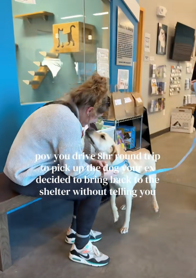Woman drives 8 hours to pick up the dog her ex secretly returned to the shelter, sparks heartwarming emotional reunion: 'Because that's my little baby boy!'
