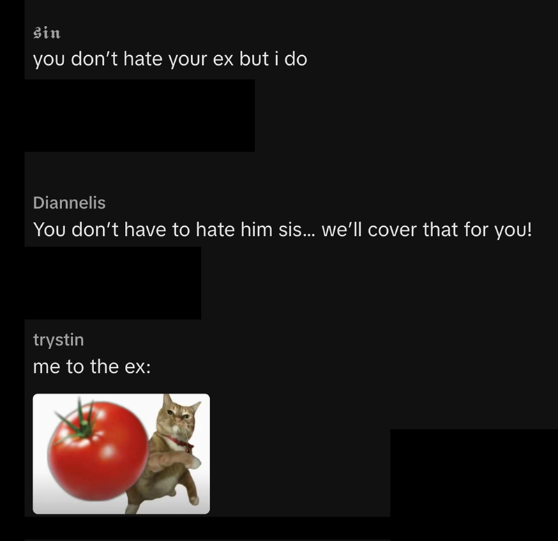 Woman drives 8 hours to pick up the dog her ex secretly returned to the shelter, sparks heartwarming emotional reunion: 'Because that's my little baby boy!'