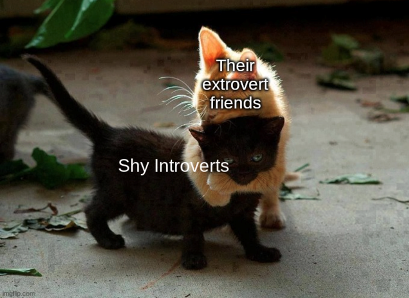 imgflip.com Their extrovert friends Shy Introverts