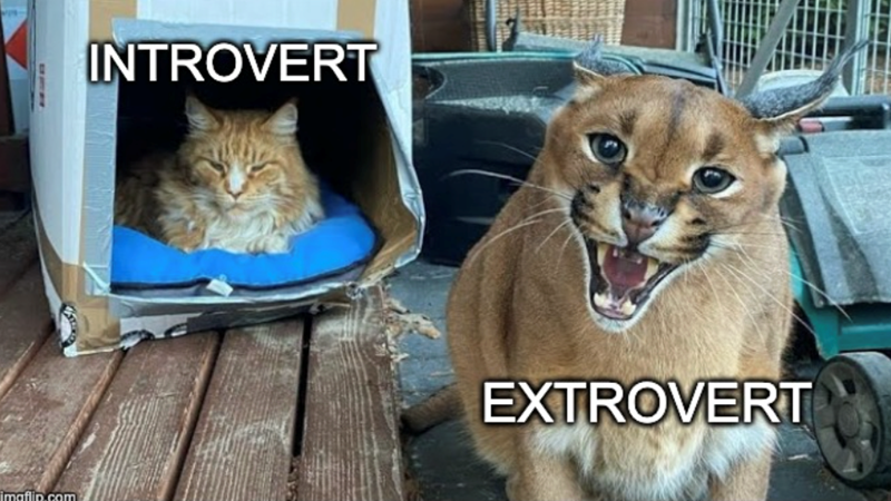 imgflip.com INTROVERT EXTROVERT