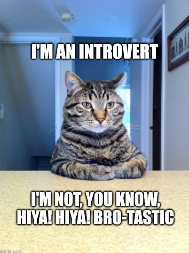 imgflip.com I'M AN INTROVERT I'M NOT, YOU KNOW, HIYA! HIYA! BRO-TASTIC