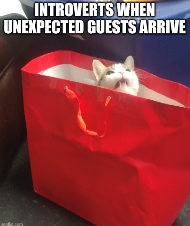 INTROVERTS WHEN UNEXPECTED GUESTS ARRIVE imgflip.com