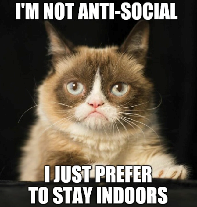 I'M NOT ANTI-SOCIAL I JUST PREFER TO STAY INDOORS