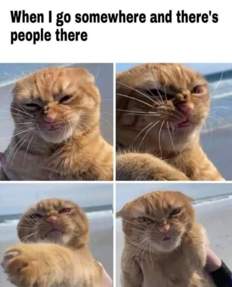 When I go somewhere and there's people there