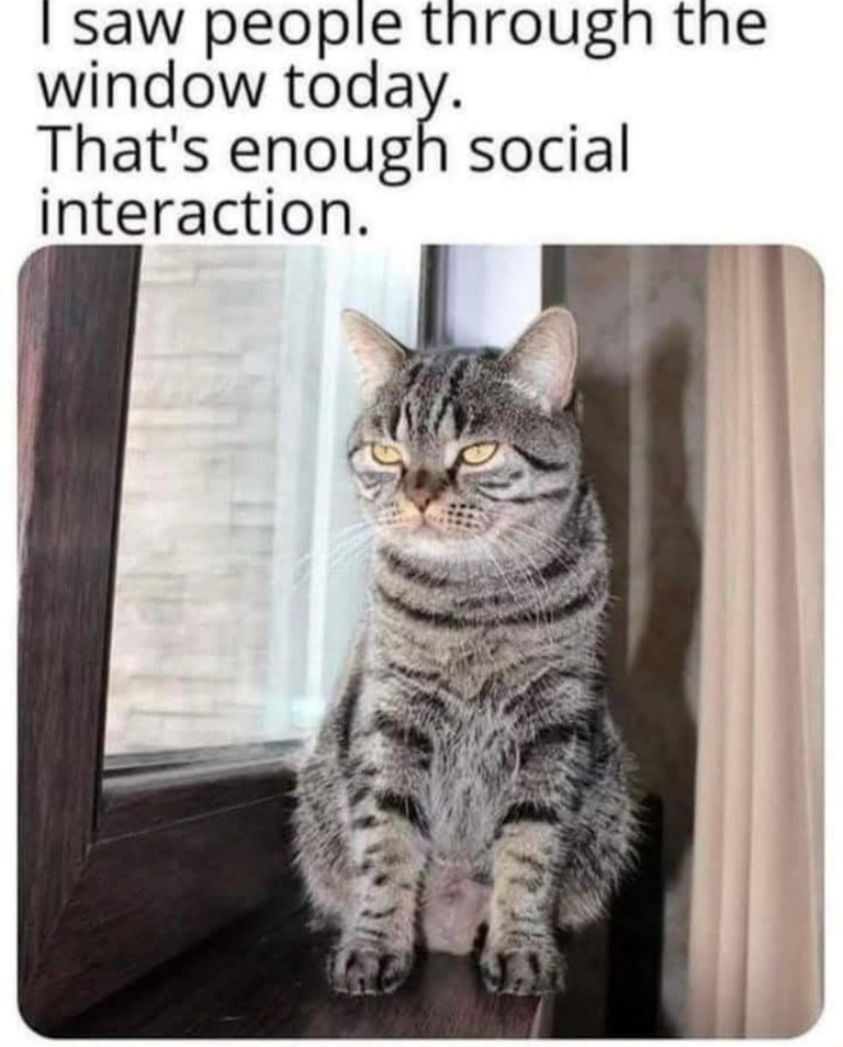 I saw people through the window today. That's enough social interaction.