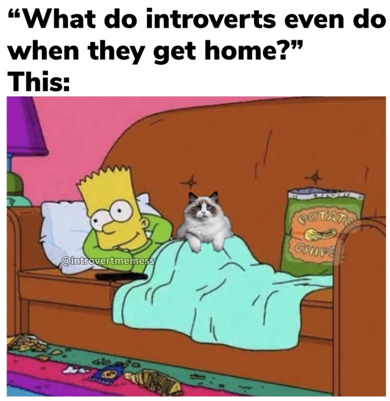 "What do introverts even do when they get home?" This: @introvertmemess T 61 COTATO CHITE
