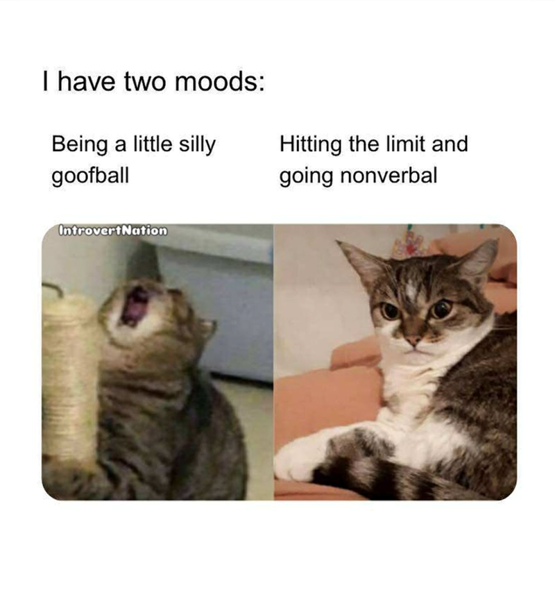 I have two moods: Being a little silly goofball IntrovertNation Hitting the limit and going nonverbal