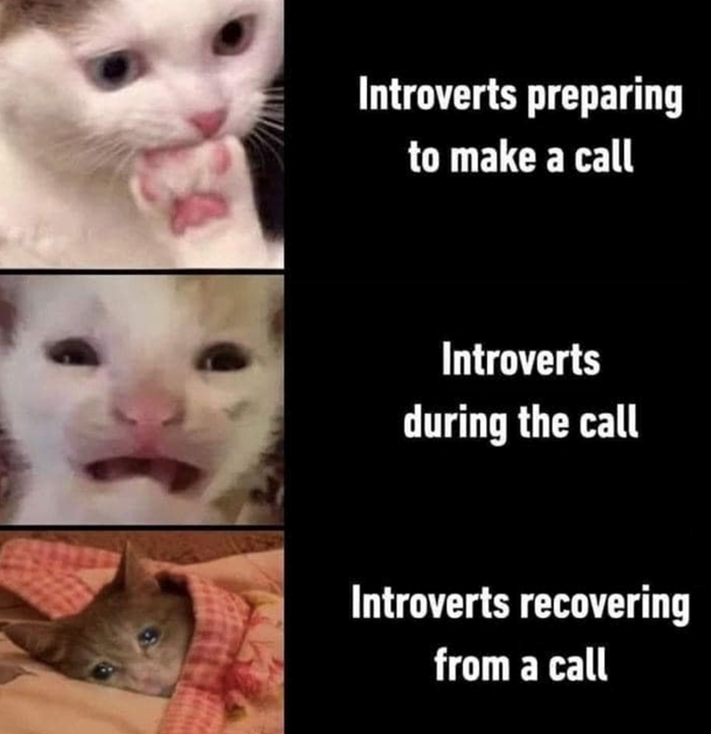 Introverts preparing to make a call Introverts during the call Introverts recovering from a call
