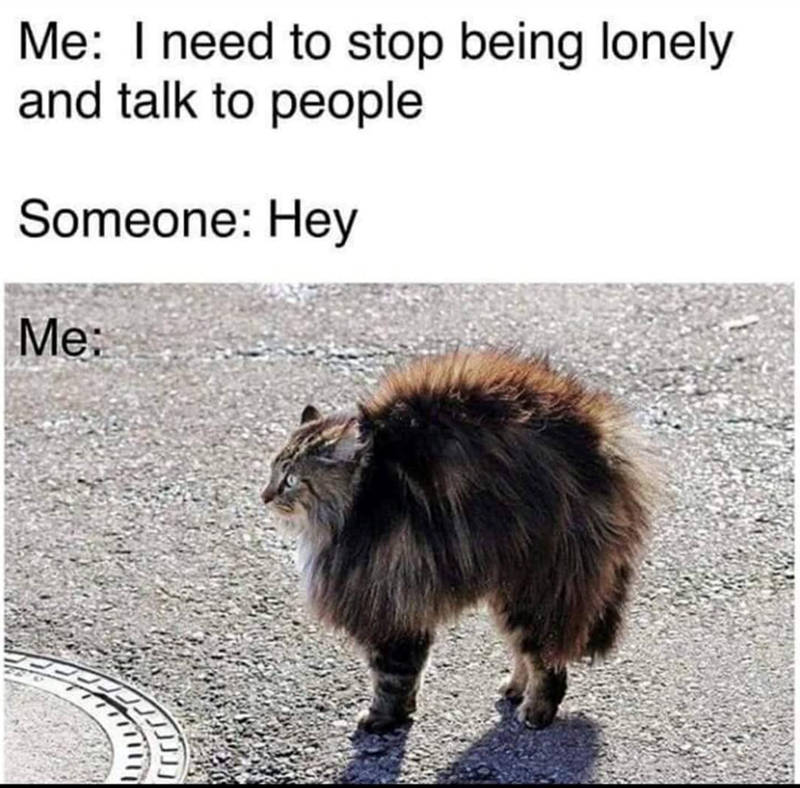 Me: I need to stop being lonely and talk to people Someone: Hey Me: