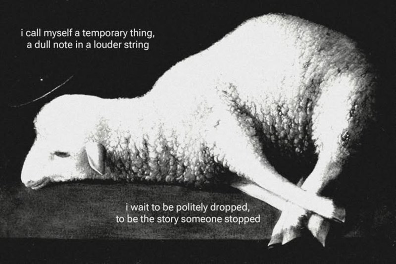 i call myself a temporary thing, a dull note in a louder string i wait to be politely dropped, to be the story someone stopped